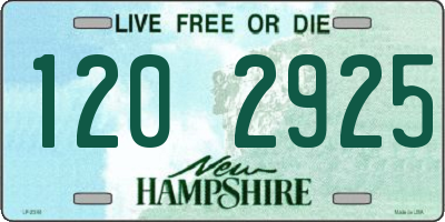 NH license plate 1202925