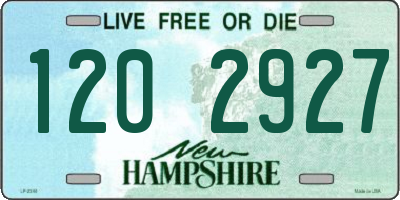 NH license plate 1202927