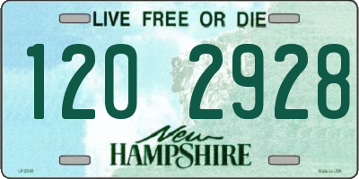 NH license plate 1202928