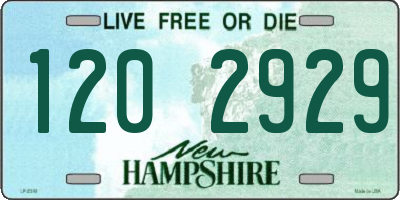 NH license plate 1202929