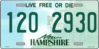 NH license plate 1202930