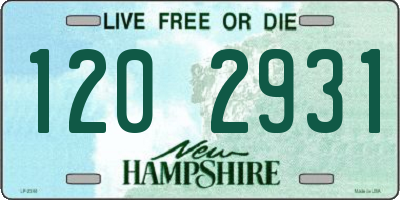 NH license plate 1202931