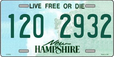 NH license plate 1202932