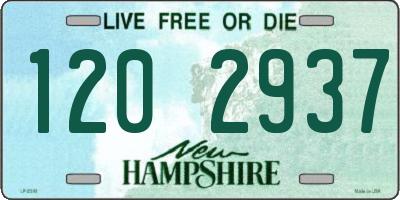 NH license plate 1202937