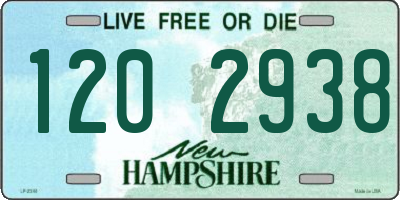 NH license plate 1202938