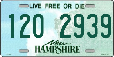 NH license plate 1202939