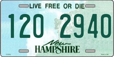 NH license plate 1202940