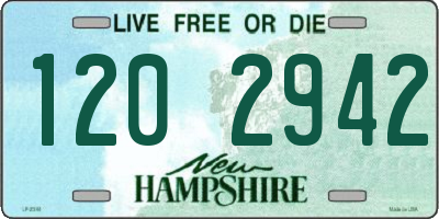 NH license plate 1202942