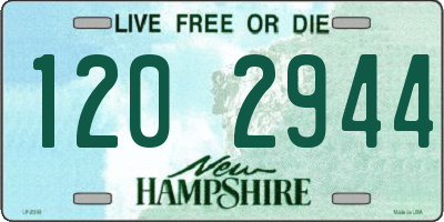 NH license plate 1202944