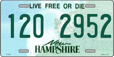 NH license plate 1202952
