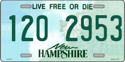 NH license plate 1202953