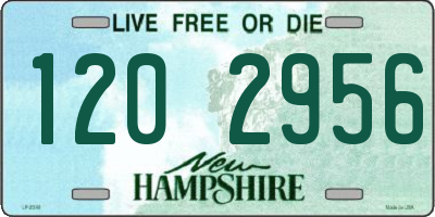NH license plate 1202956