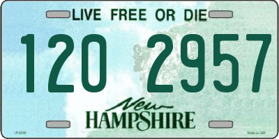 NH license plate 1202957