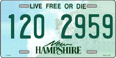 NH license plate 1202959