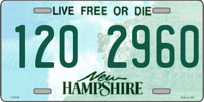 NH license plate 1202960