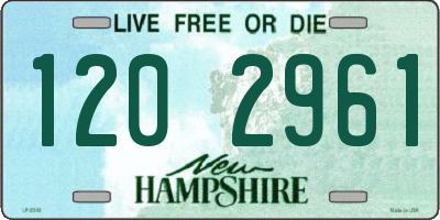 NH license plate 1202961