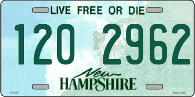 NH license plate 1202962