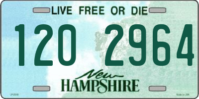 NH license plate 1202964