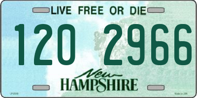 NH license plate 1202966