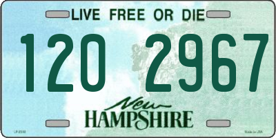 NH license plate 1202967