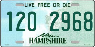 NH license plate 1202968