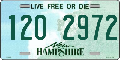 NH license plate 1202972