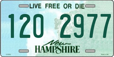 NH license plate 1202977