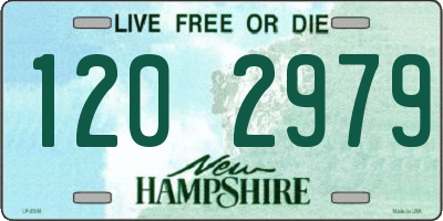 NH license plate 1202979