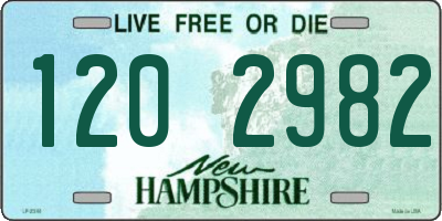 NH license plate 1202982