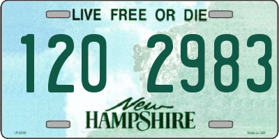 NH license plate 1202983