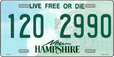 NH license plate 1202990