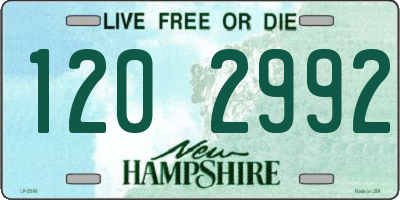 NH license plate 1202992