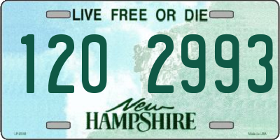 NH license plate 1202993
