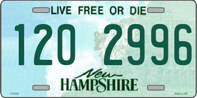NH license plate 1202996