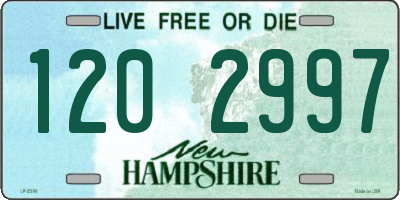 NH license plate 1202997