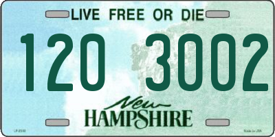 NH license plate 1203002