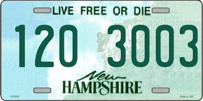 NH license plate 1203003