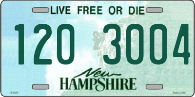NH license plate 1203004