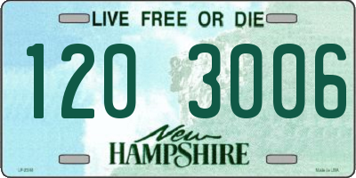NH license plate 1203006