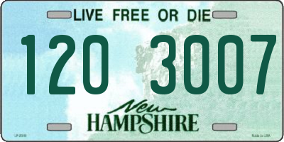 NH license plate 1203007