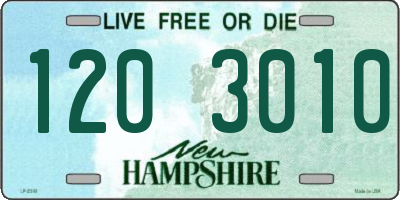 NH license plate 1203010