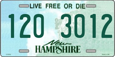 NH license plate 1203012