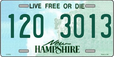 NH license plate 1203013
