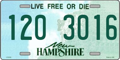 NH license plate 1203016