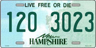 NH license plate 1203023