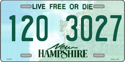 NH license plate 1203027