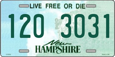 NH license plate 1203031