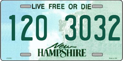 NH license plate 1203032