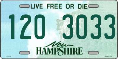 NH license plate 1203033