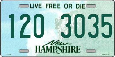 NH license plate 1203035